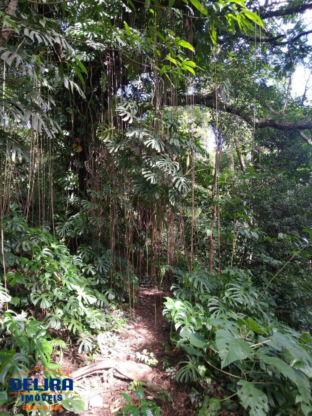 Fazenda à venda com 2 quartos, 126m² - Foto 17