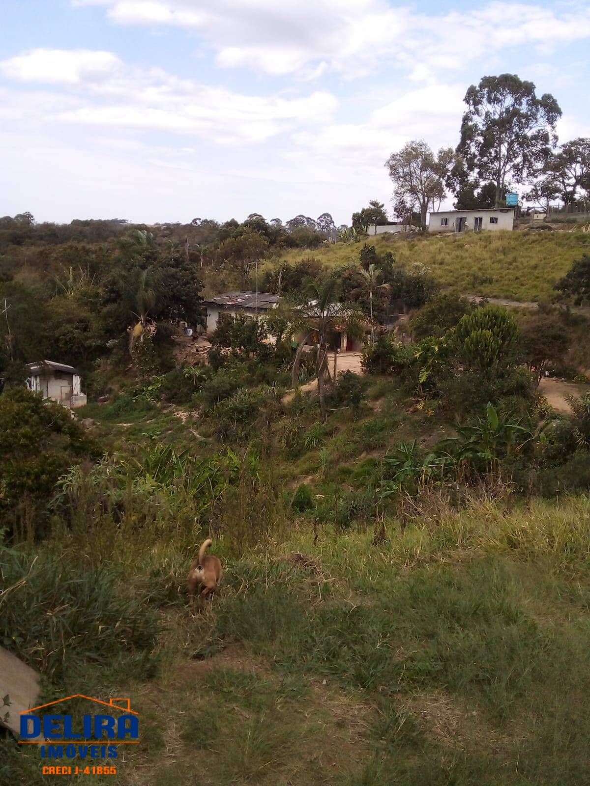 Fazenda à venda com 4 quartos, 336m² - Foto 8