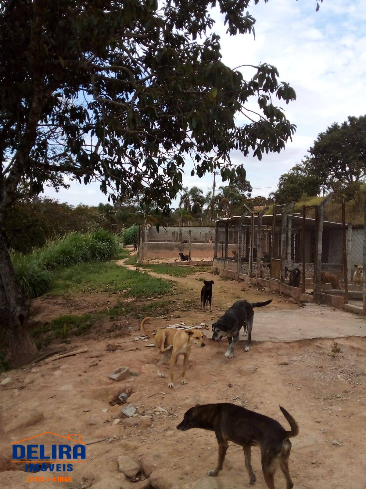 Fazenda à venda com 4 quartos, 336m² - Foto 9