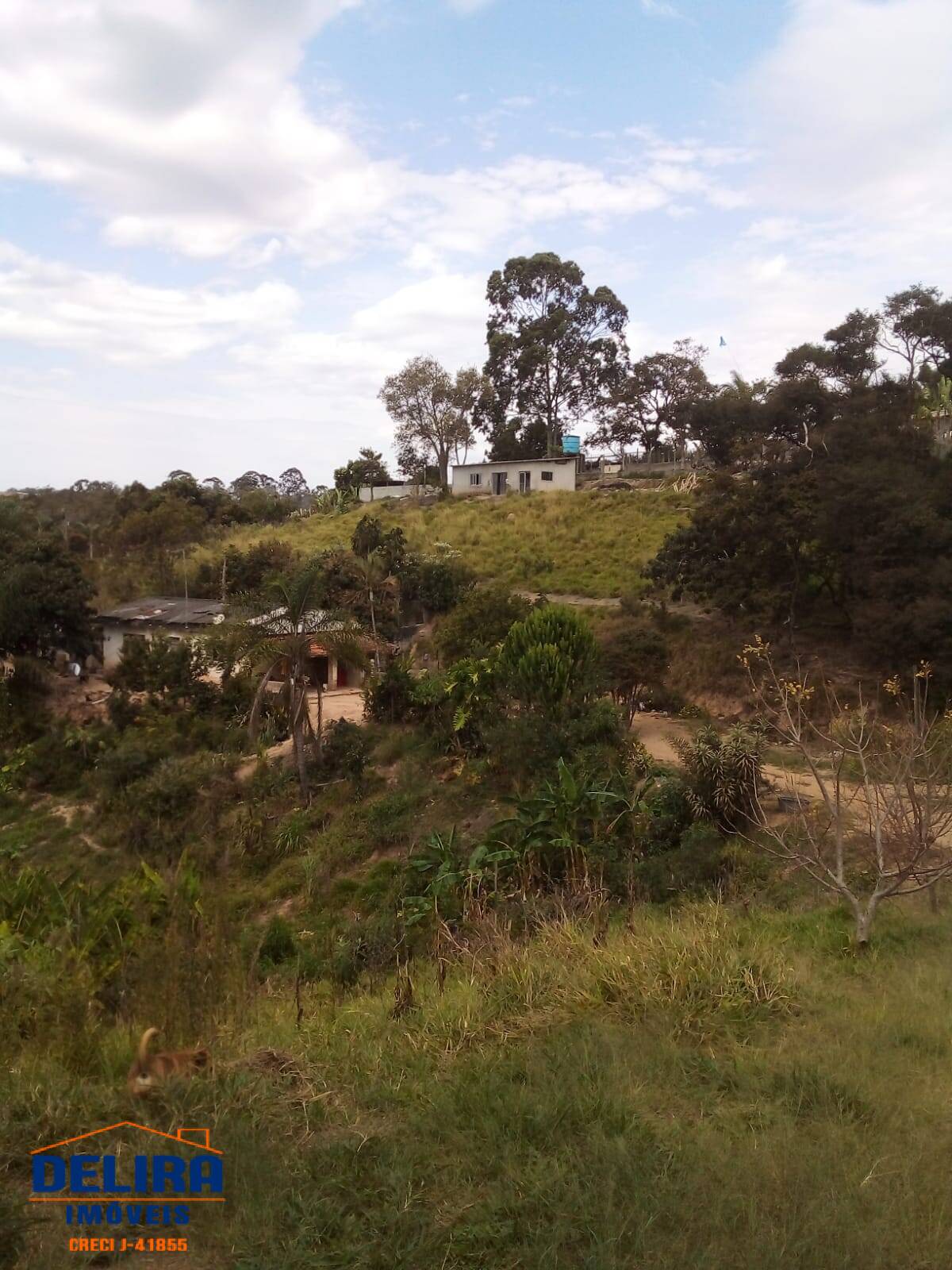 Fazenda à venda com 4 quartos, 336m² - Foto 10