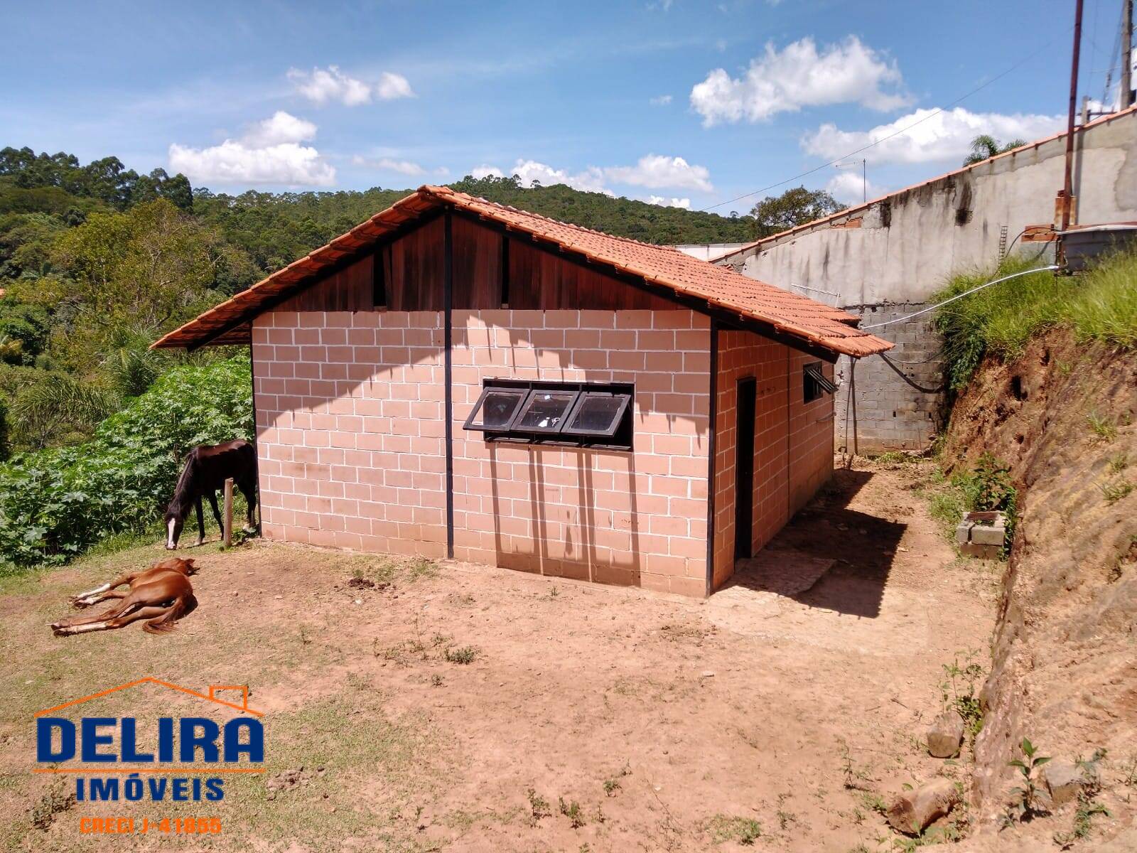 Fazenda à venda com 2 quartos, 640m² - Foto 17