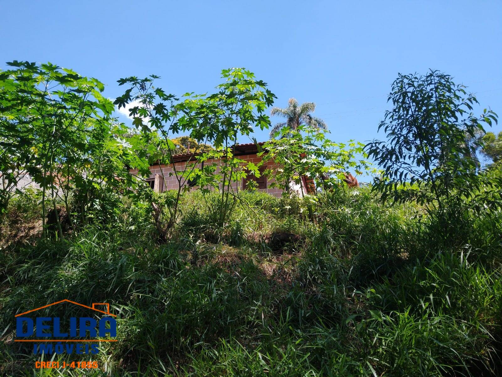 Fazenda à venda com 2 quartos, 640m² - Foto 20