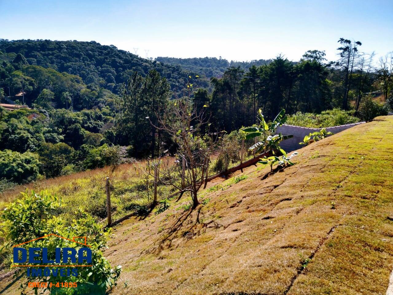 Fazenda à venda com 3 quartos, 230m² - Foto 11