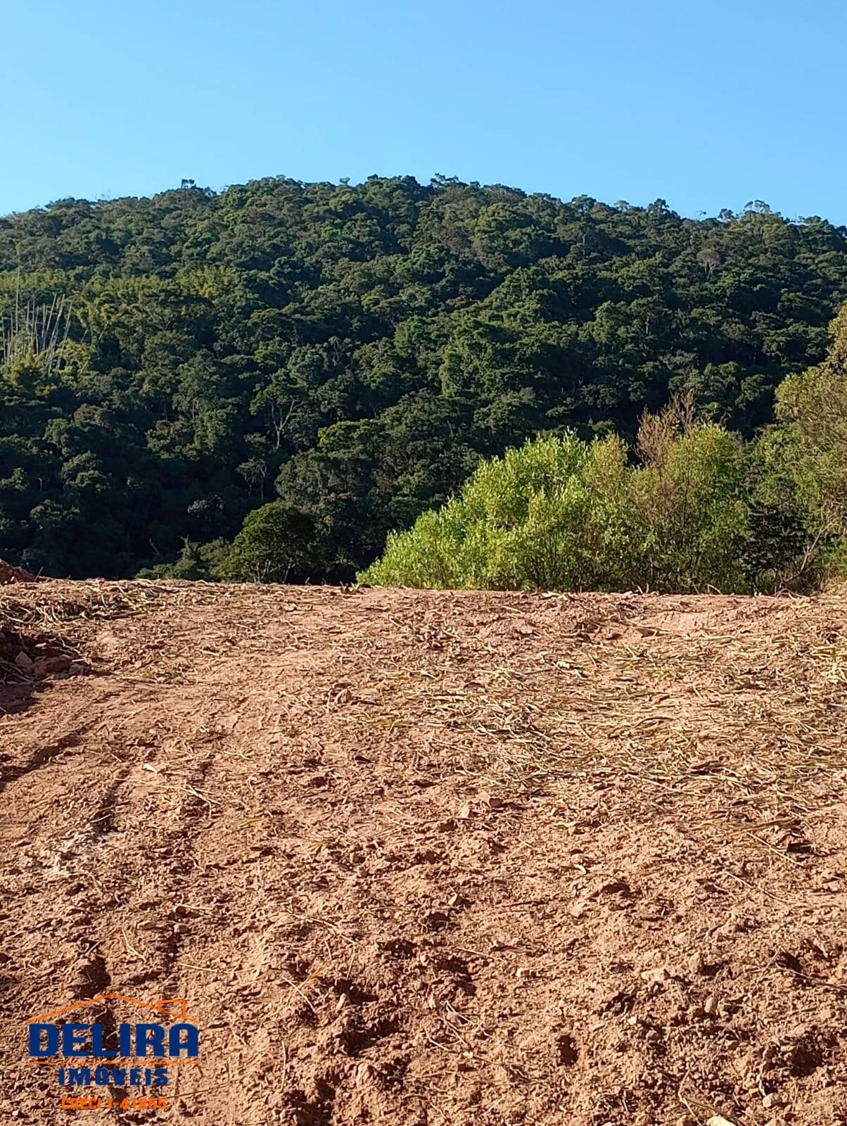 Terreno à venda, 5000m² - Foto 2