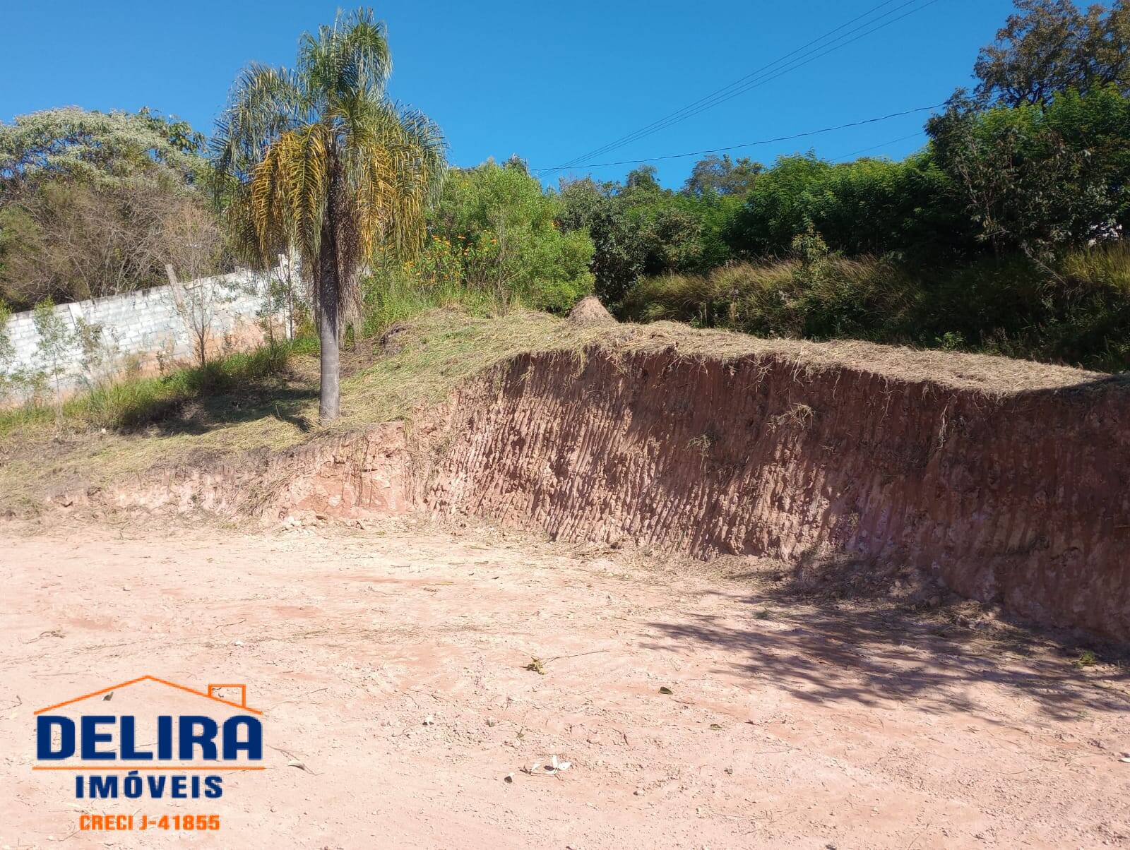 Terreno à venda, 5000m² - Foto 8