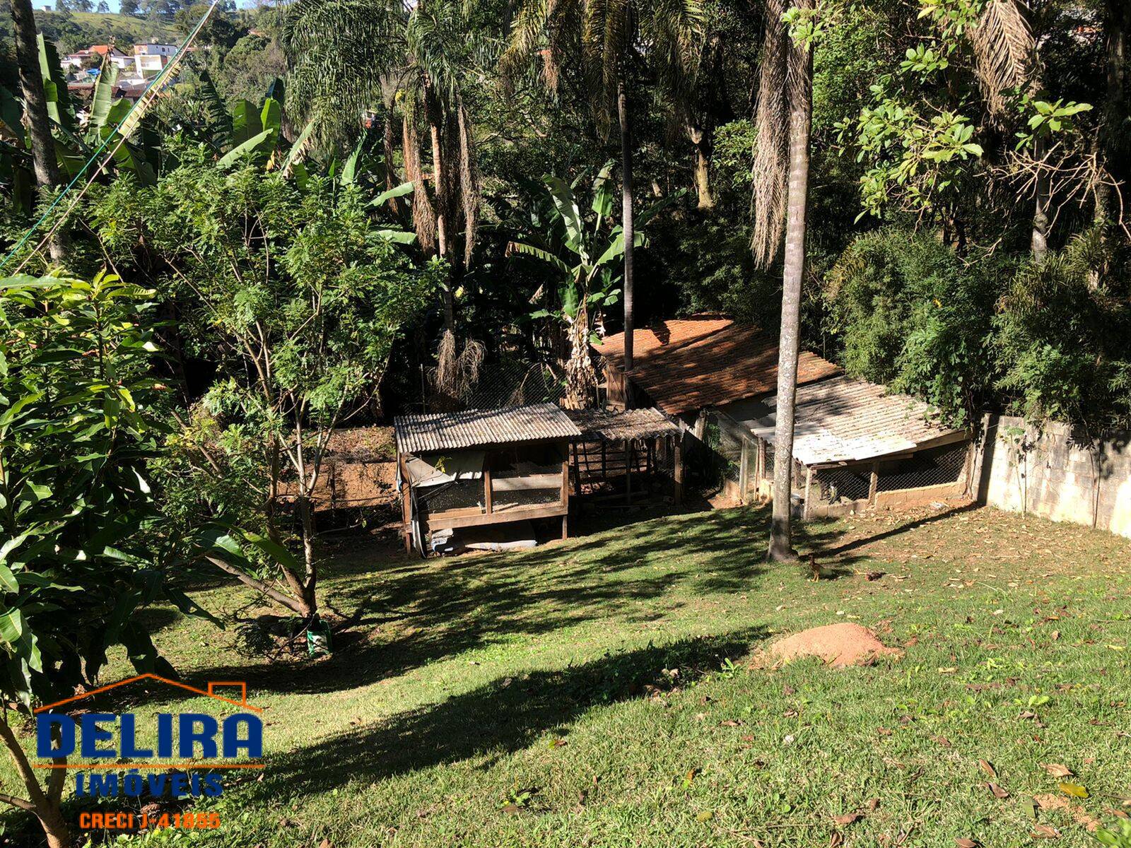 Fazenda à venda com 5 quartos, 15000m² - Foto 5