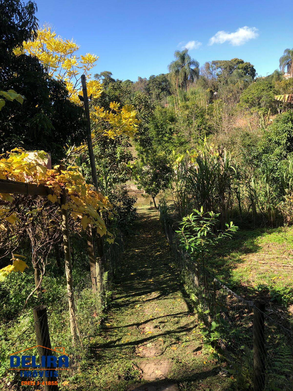 Fazenda à venda com 5 quartos, 15000m² - Foto 7