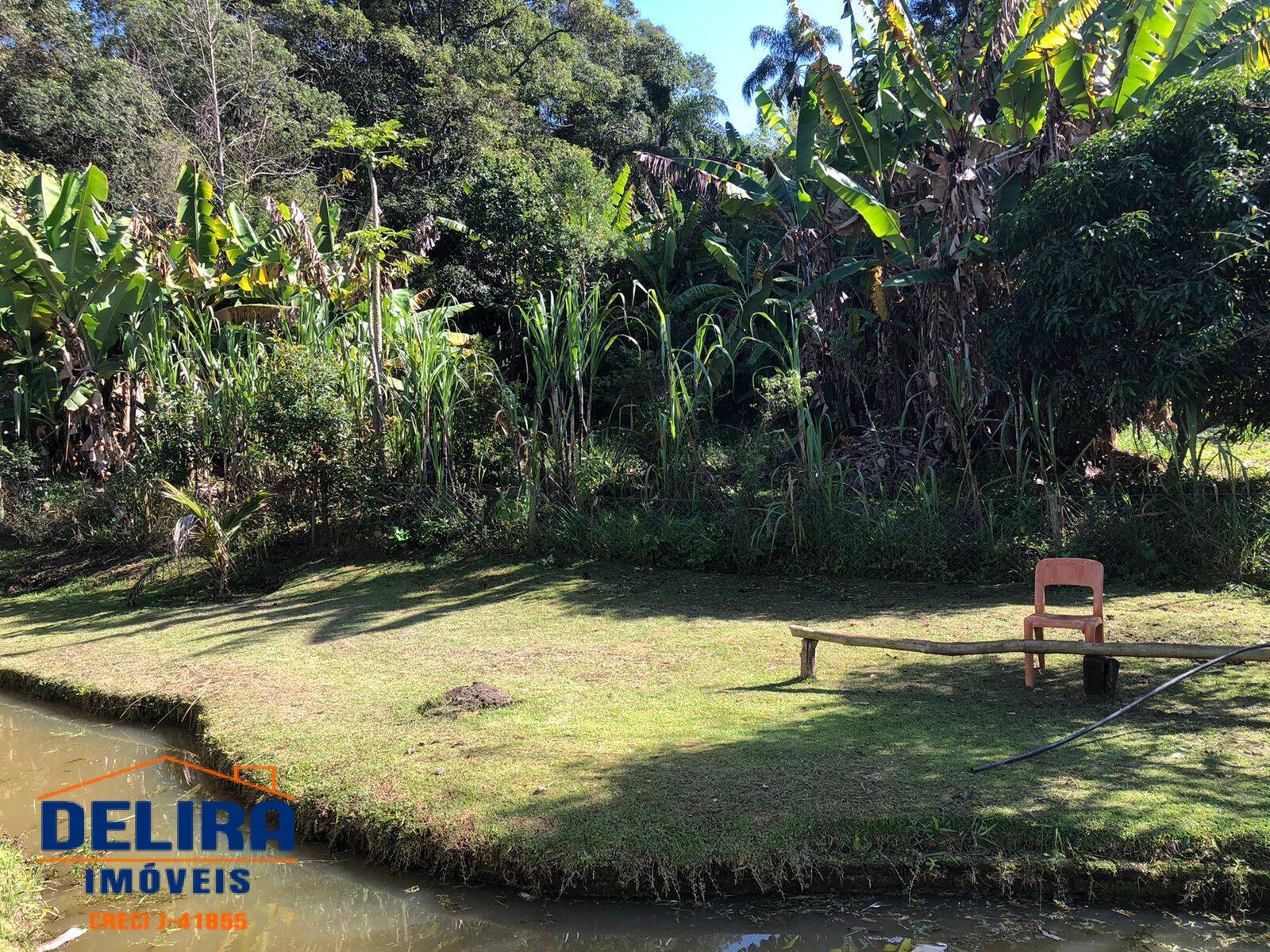 Fazenda à venda com 5 quartos, 15000m² - Foto 8