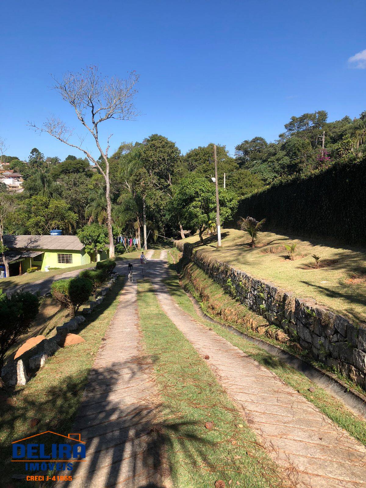 Fazenda à venda com 5 quartos, 15000m² - Foto 13