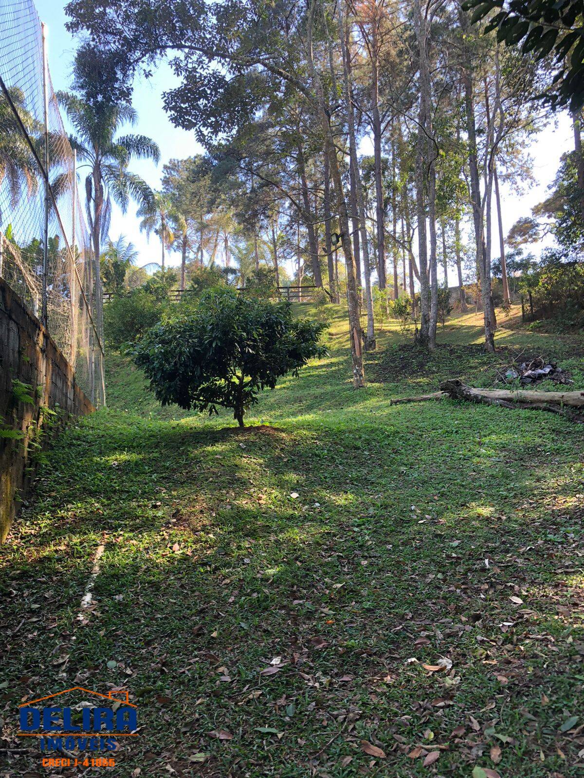 Fazenda à venda com 5 quartos, 15000m² - Foto 19