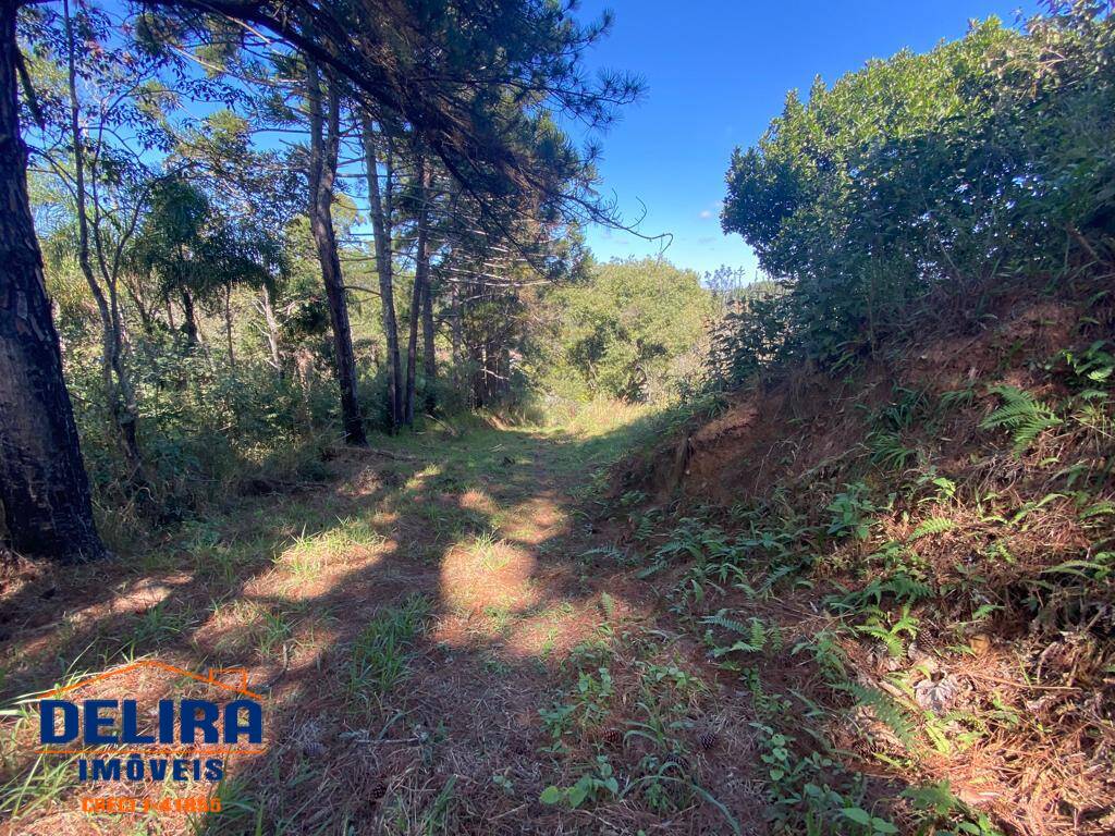 Fazenda à venda com 2 quartos, 400m² - Foto 36