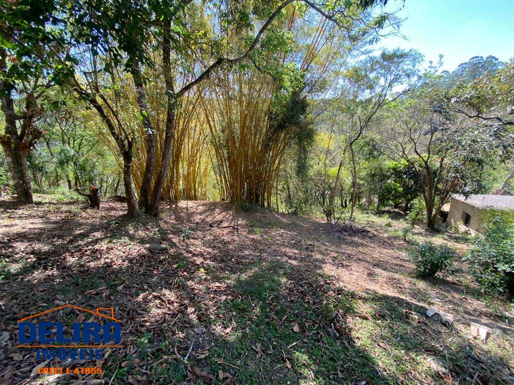 Fazenda à venda com 3 quartos, 100m² - Foto 5