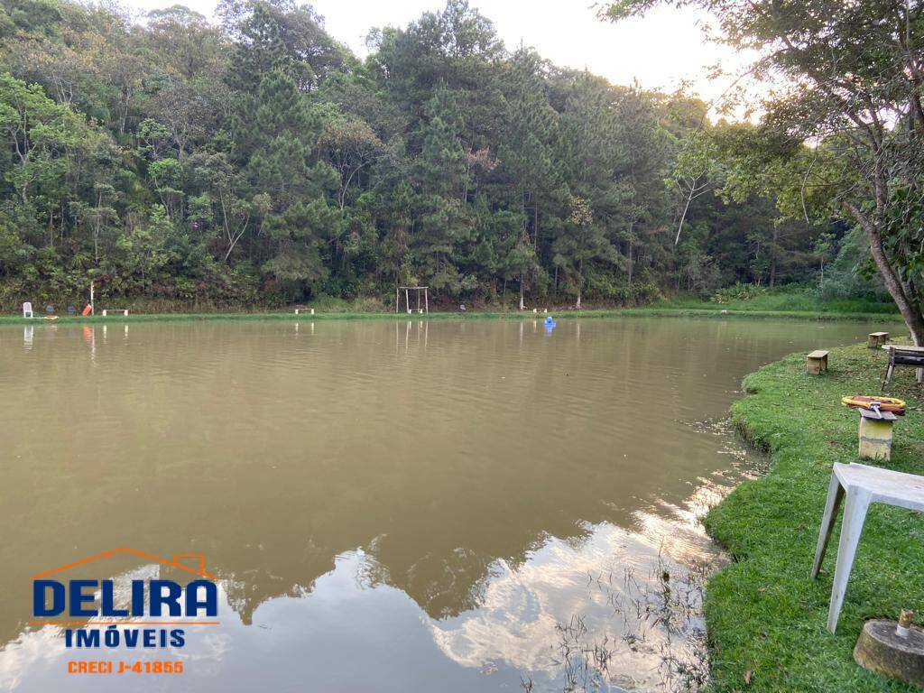 Fazenda à venda com 2 quartos, 200m² - Foto 7