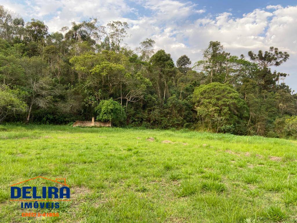 Fazenda à venda com 2 quartos, 200m² - Foto 27