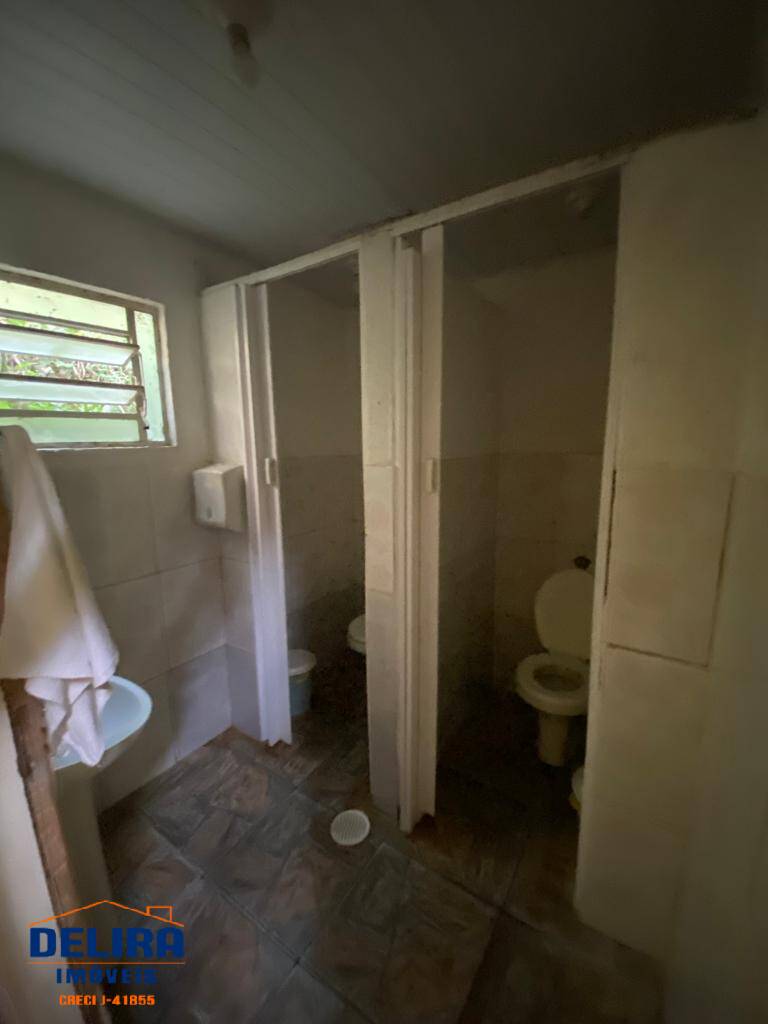 Fazenda à venda com 2 quartos, 200m² - Foto 39