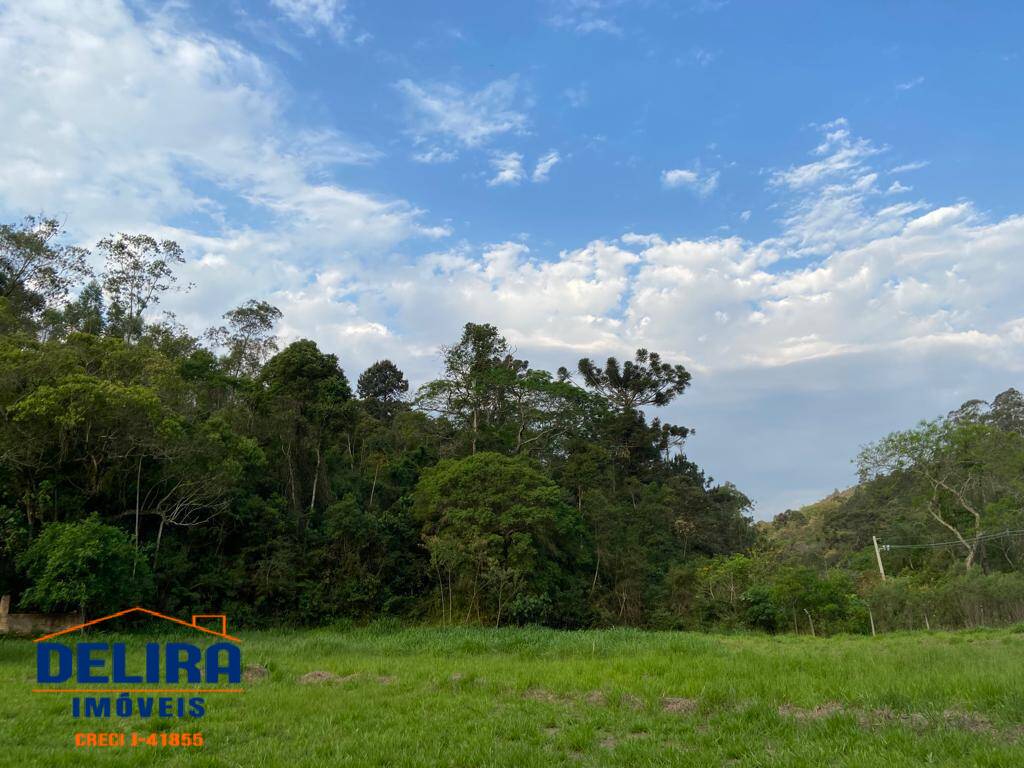 Fazenda à venda com 2 quartos, 200m² - Foto 41