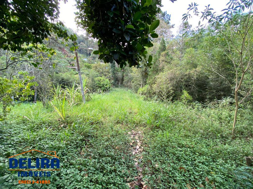 Fazenda à venda com 4 quartos, 180m² - Foto 5