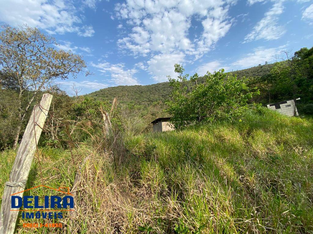 Fazenda à venda com 4 quartos, 180m² - Foto 29