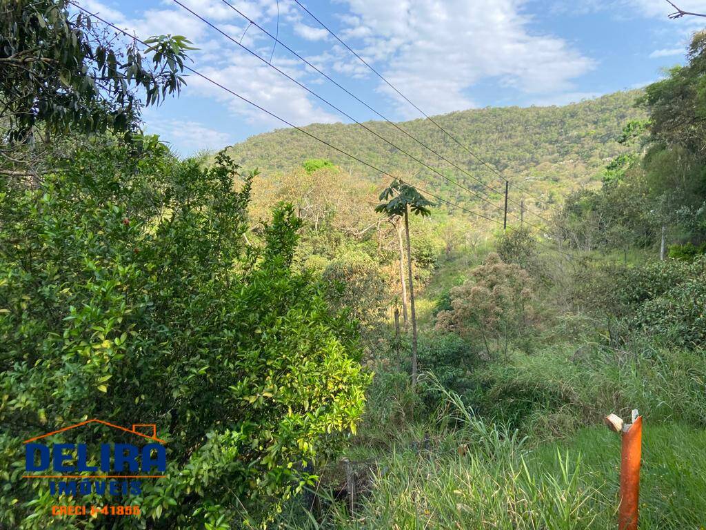 Fazenda à venda com 4 quartos, 180m² - Foto 38