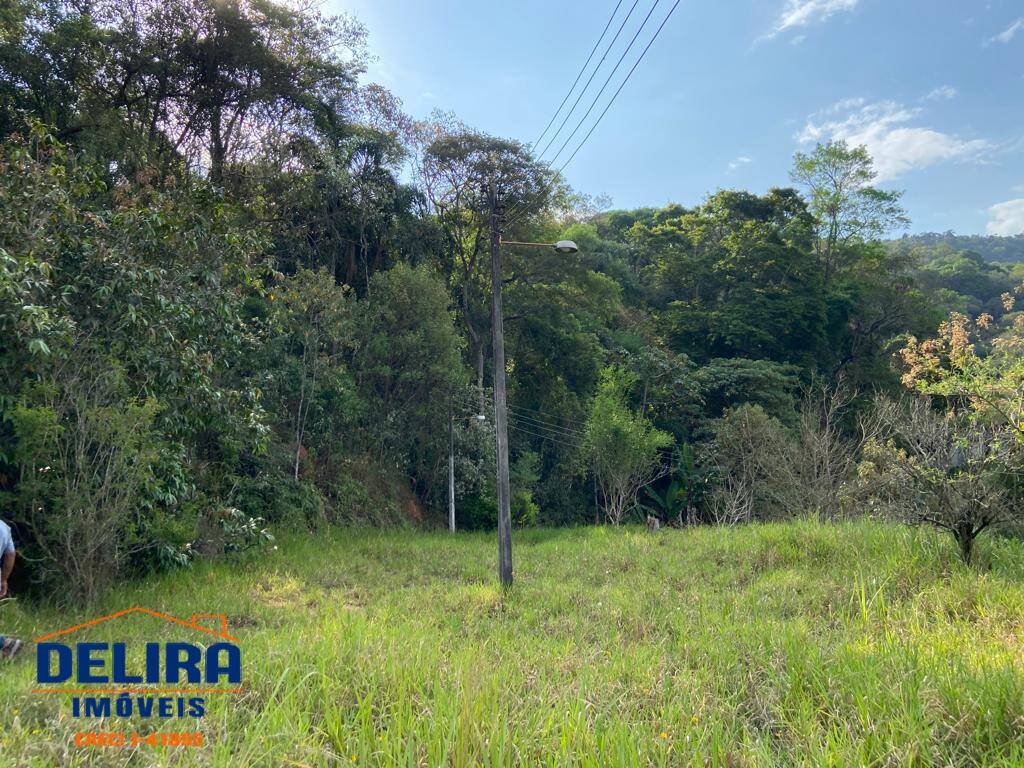 Fazenda à venda com 4 quartos, 180m² - Foto 39