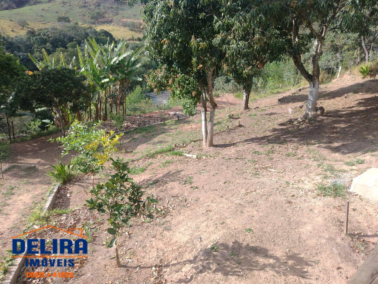 Fazenda à venda com 4 quartos, 300m² - Foto 26