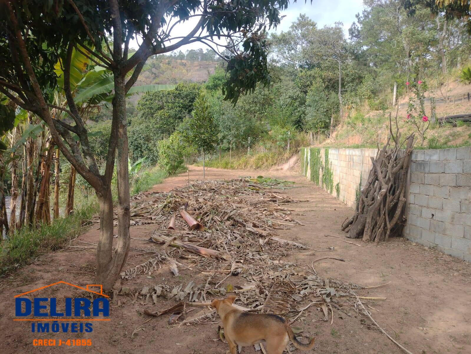 Fazenda à venda com 4 quartos, 300m² - Foto 29