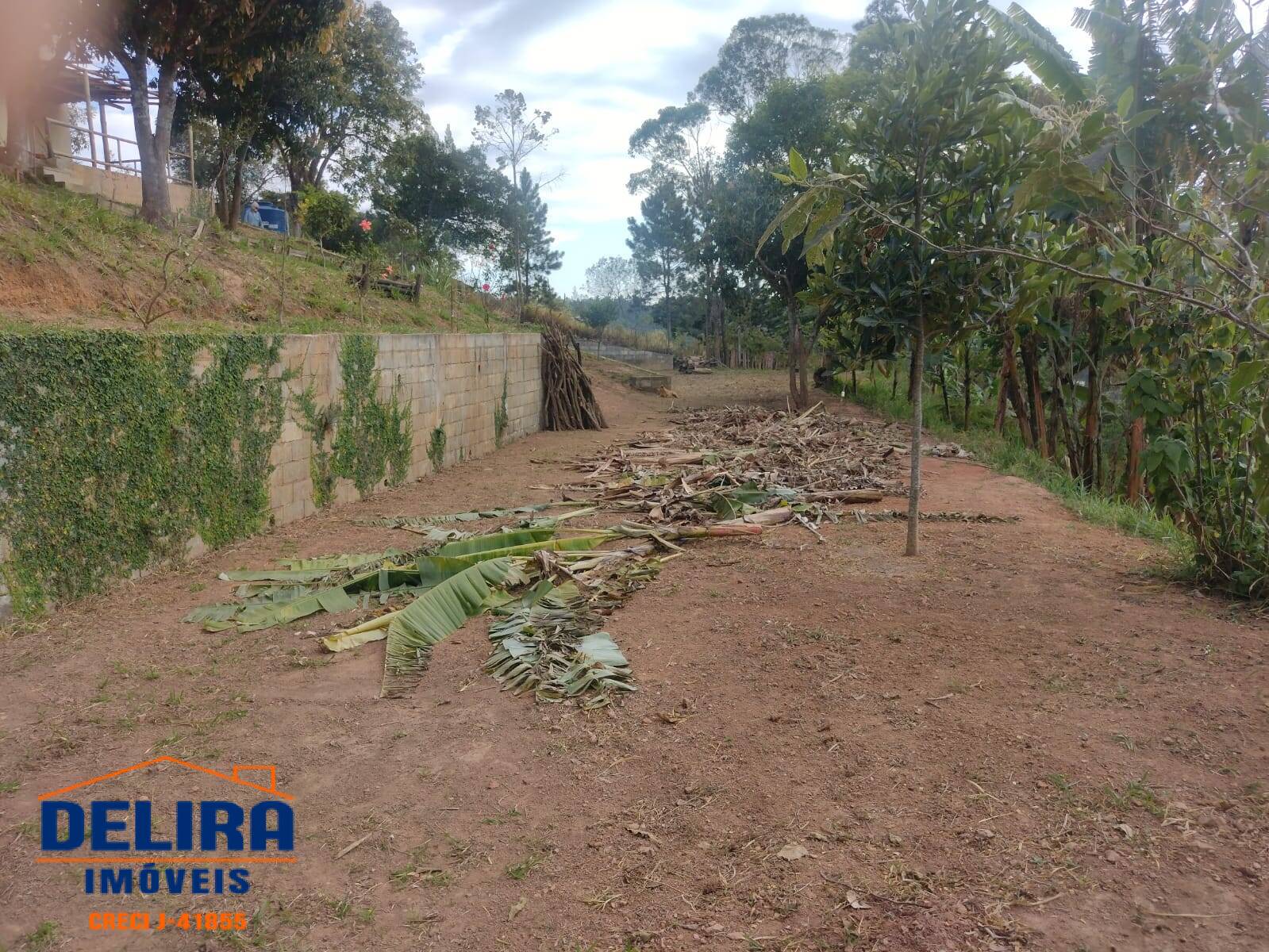 Fazenda à venda com 4 quartos, 300m² - Foto 30