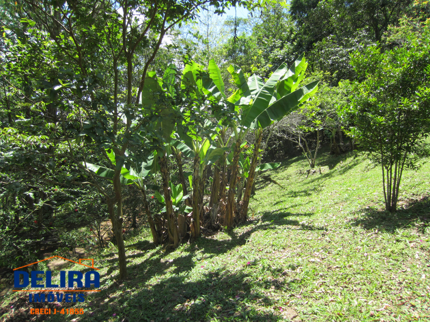 Fazenda à venda com 7 quartos, 1000m² - Foto 22