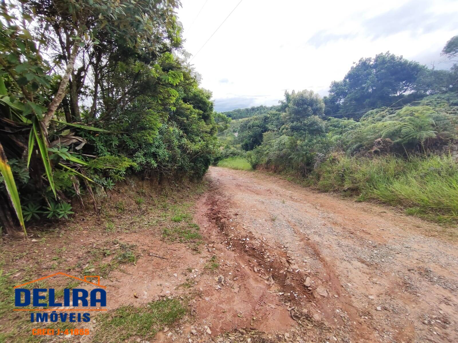 Fazenda à venda com 4 quartos, 28795m² - Foto 8