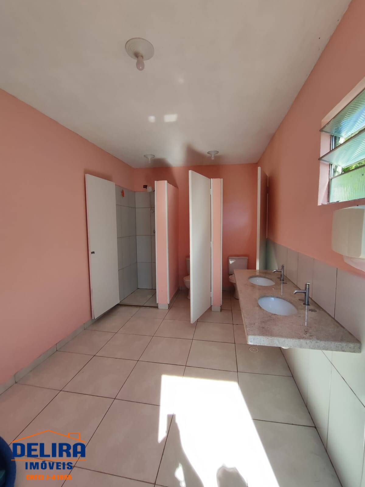 Fazenda à venda com 3 quartos, 150m² - Foto 6