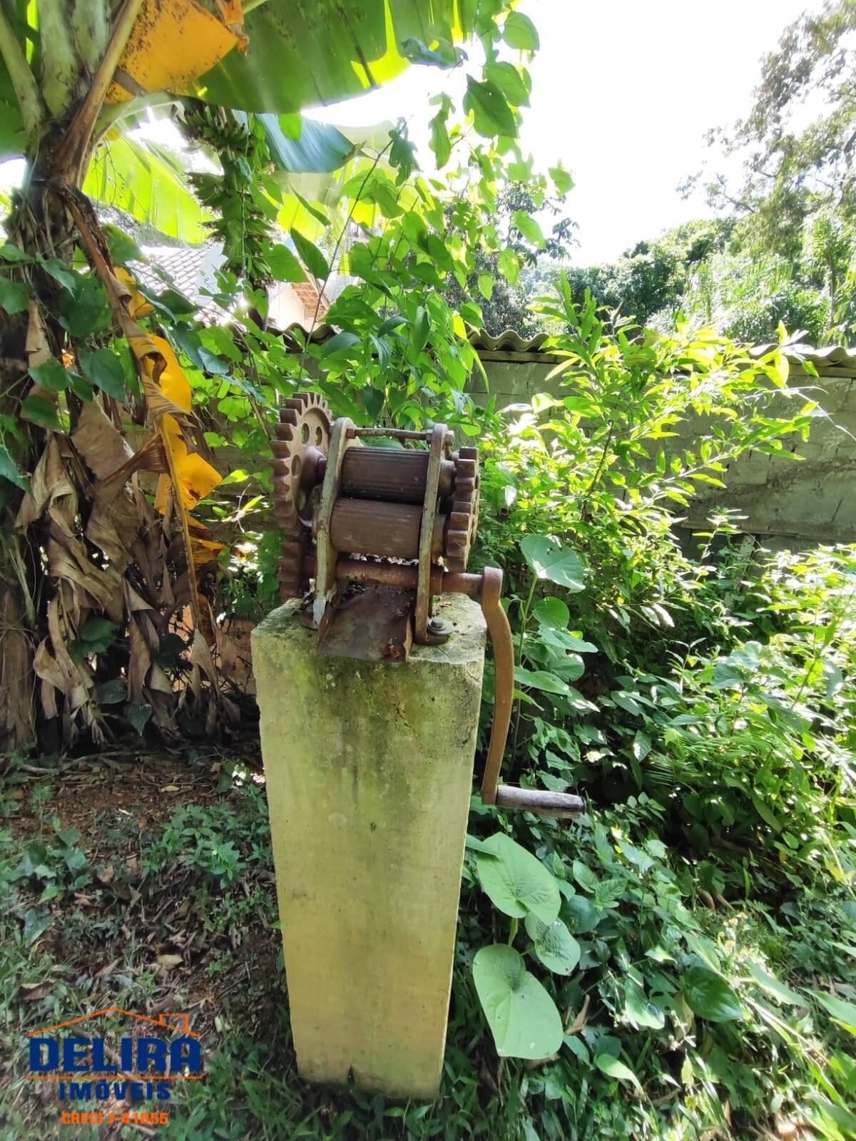 Fazenda à venda com 3 quartos, 150m² - Foto 12