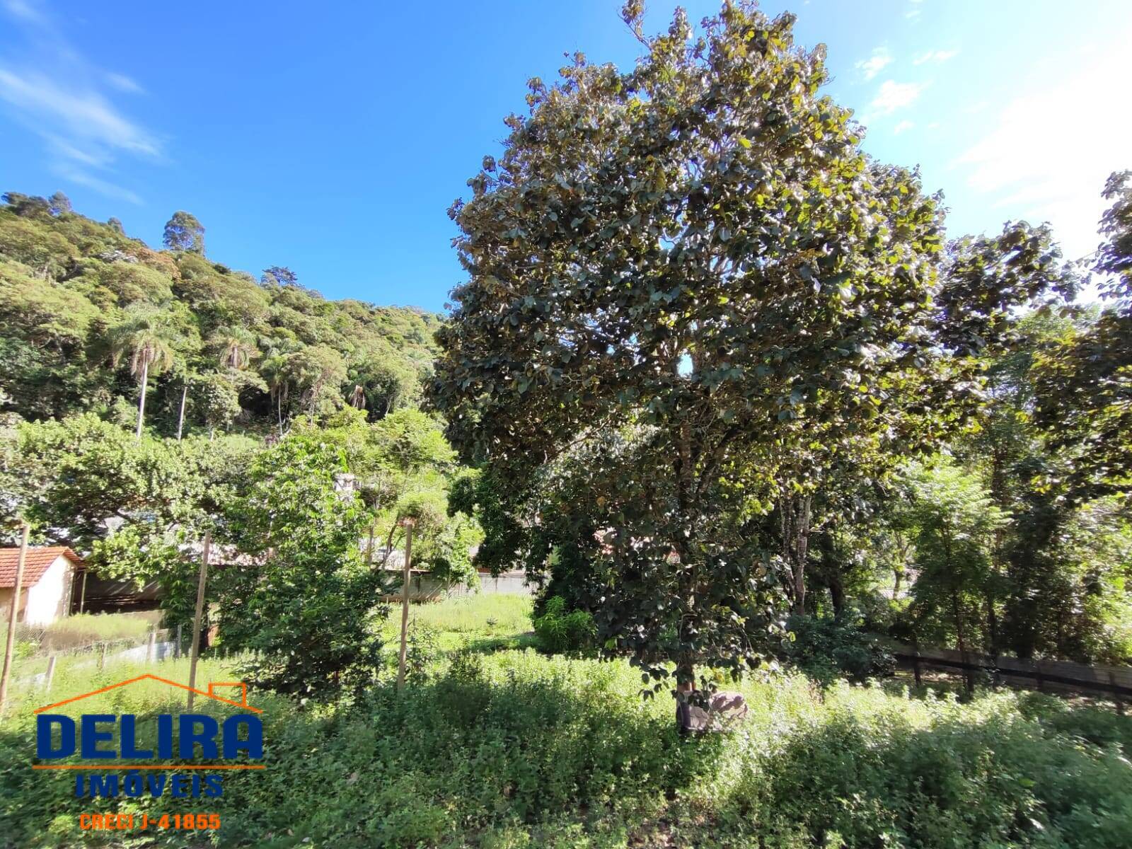 Fazenda à venda com 3 quartos, 150m² - Foto 18