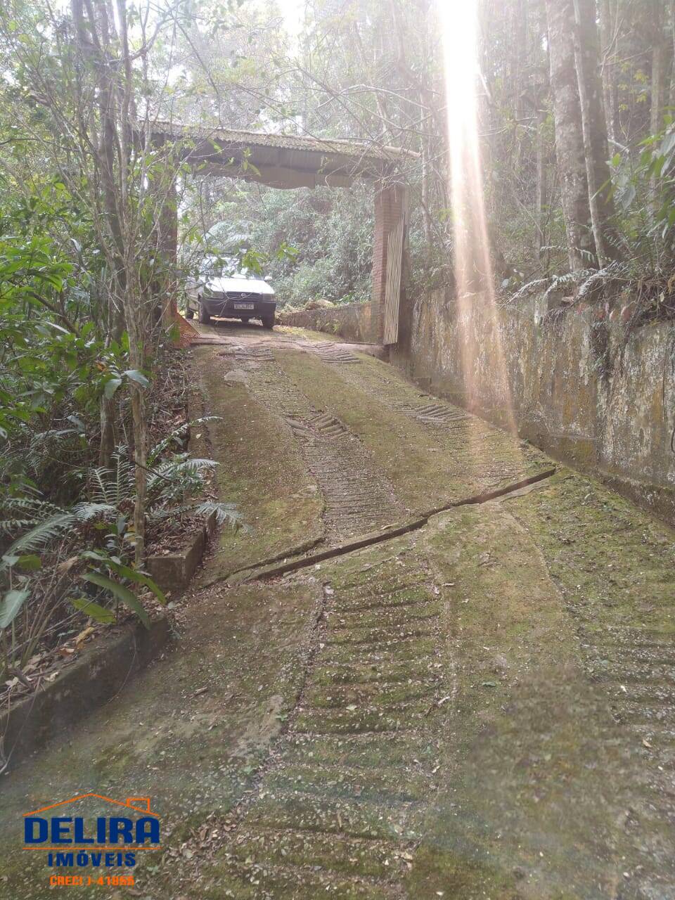 Fazenda à venda com 2 quartos, 8000m² - Foto 5