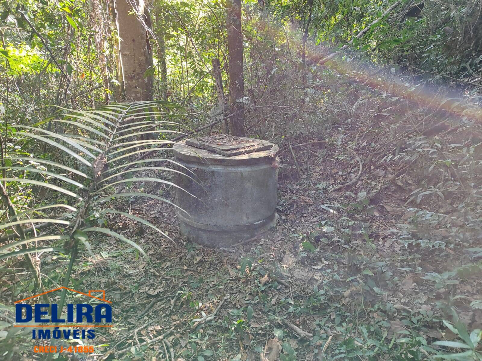 Fazenda à venda com 2 quartos, 40m² - Foto 11