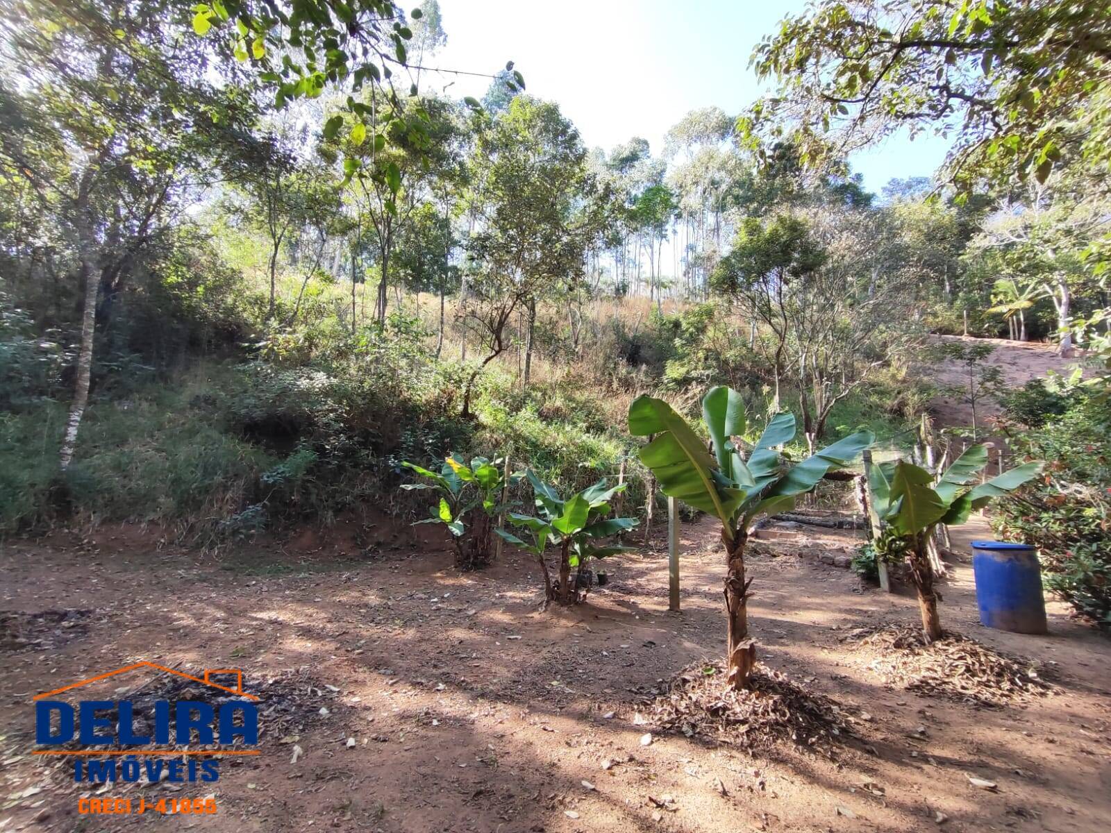 Fazenda à venda com 2 quartos, 40m² - Foto 12