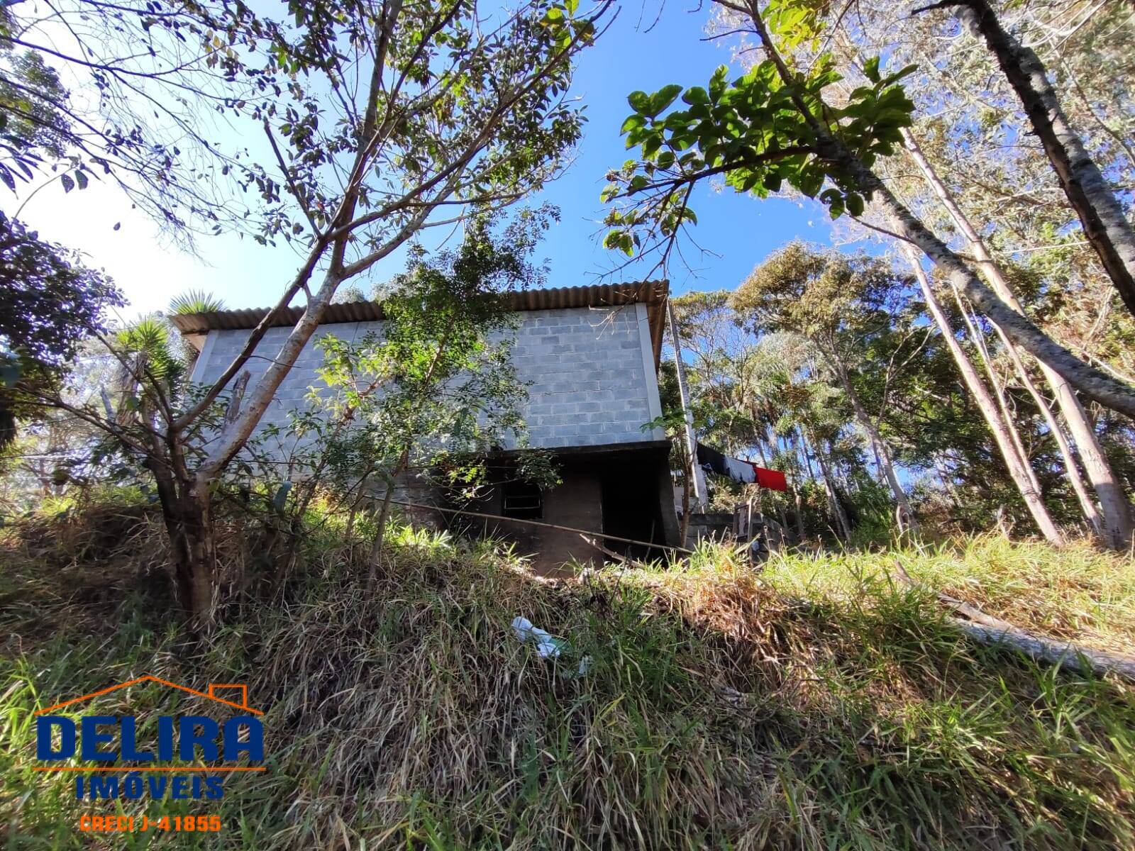 Fazenda à venda com 2 quartos, 40m² - Foto 4